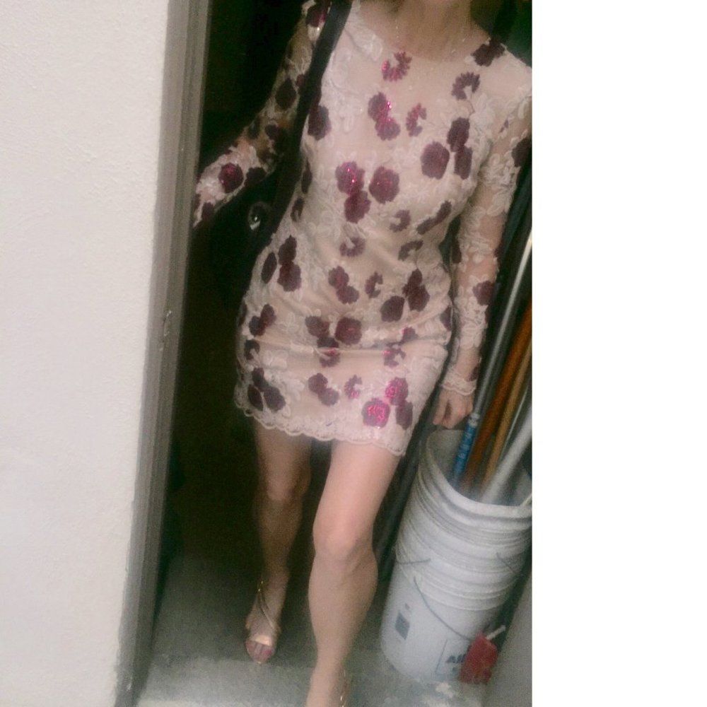 Dress the Population Stephanie red hearts sequins dress